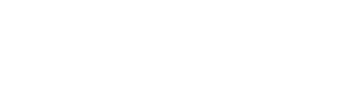 Business Web Solutions
